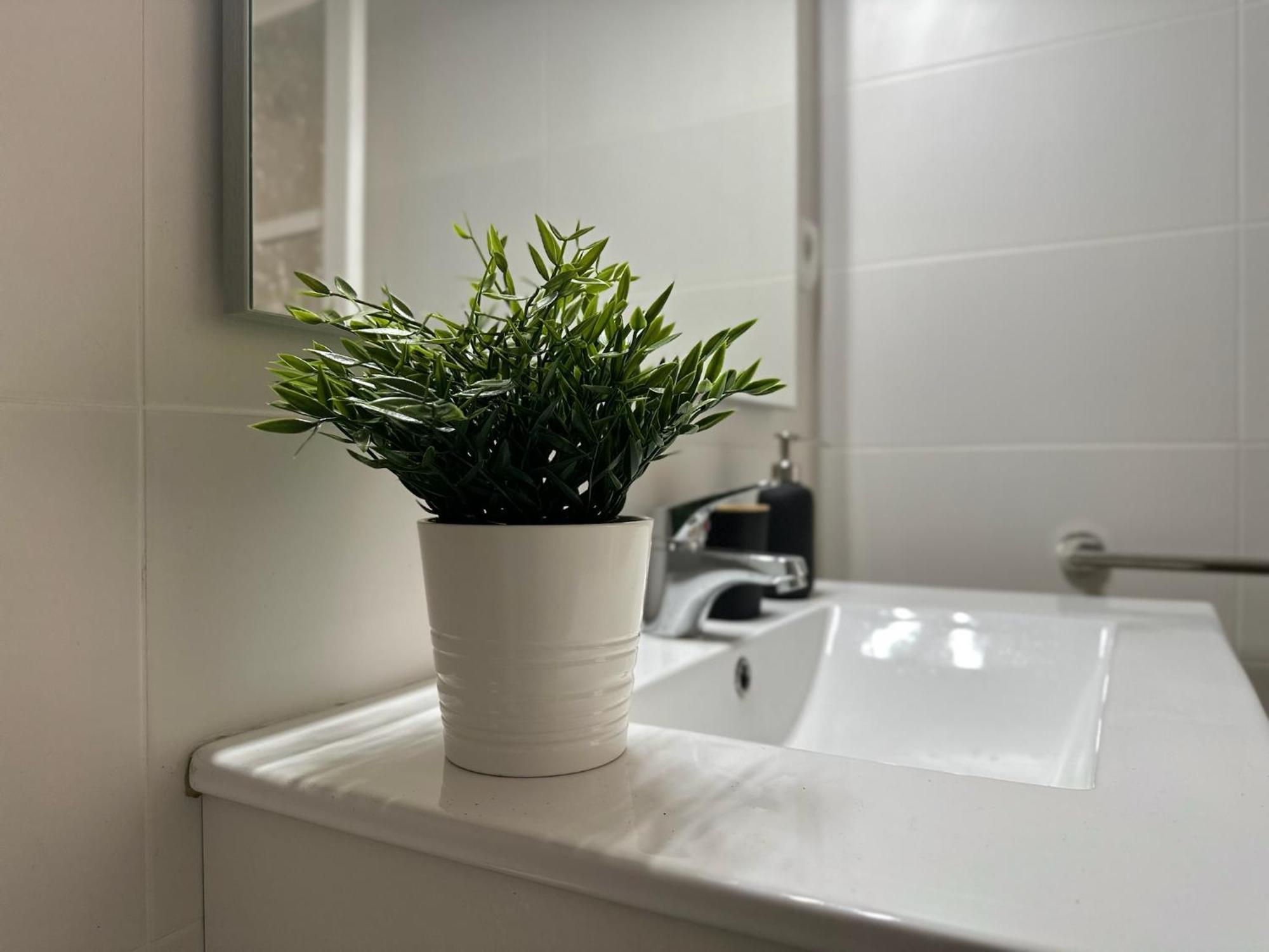 Apartamentos Vernia Ontinyent Exterior photo